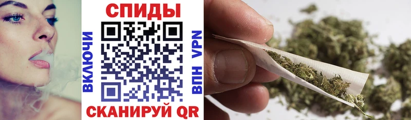 MEGA вход  Сольцы  Бутират буратино 