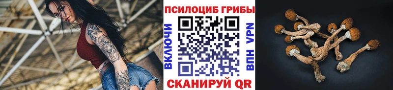 Псилоцибиновые грибы MAGIC MUSHROOMS  купить наркотики сайты  Сольцы 